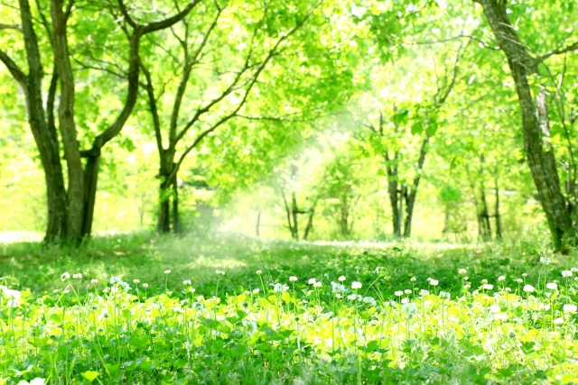 �O���E���f�B���O